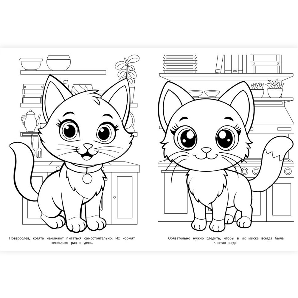 Раскраска 9785506103158 Котики Раскраска 9785506103158 Котики