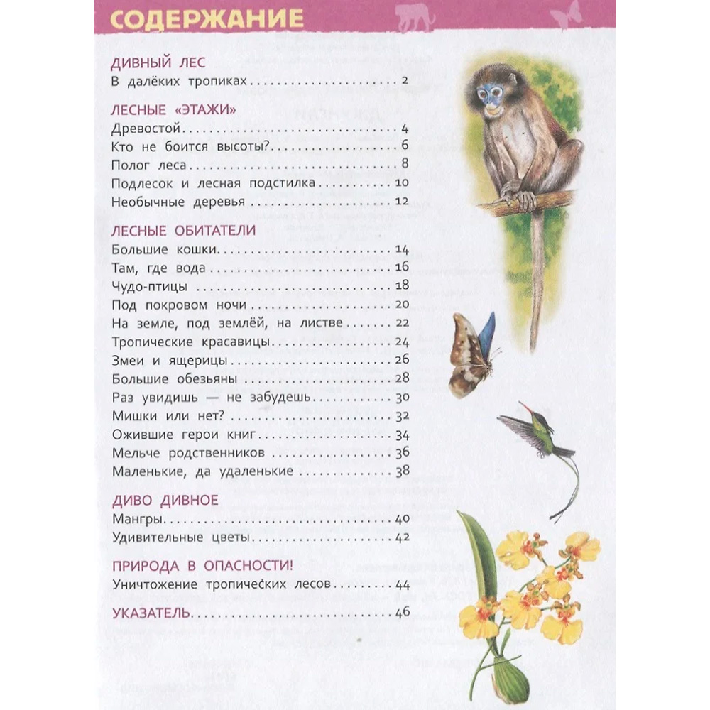 Книга 978-5-353-08917-9 Джунгли.Энциклопедия детского сада Книга 978-5-353-08917-9 Джунгли.Энциклопедия детского сада