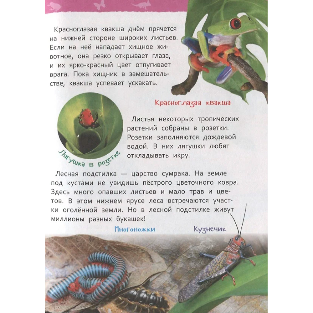 Книга 978-5-353-08917-9 Джунгли.Энциклопедия детского сада Книга 978-5-353-08917-9 Джунгли.Энциклопедия детского сада