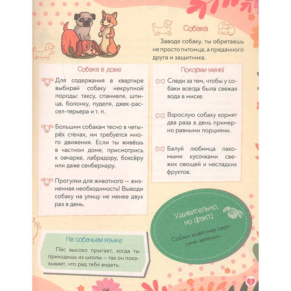 Книга 978-5-378-35198-5 Super ЭНЦИКЛОПЕДИЯ ДЛЯ ДЕВОЧЕК. Хобби и развлечения Книга 978-5-378-35198-5 Super ЭНЦИКЛОПЕДИЯ ДЛЯ ДЕВОЧЕК. Хобби и развлечения