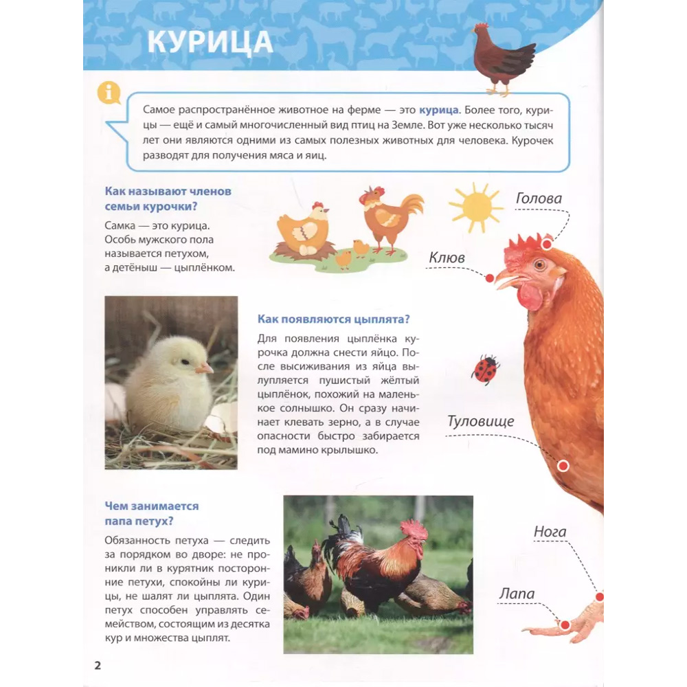 Книга 978-5-378-31898-8 ПЕРВАЯ ДЕТСКАЯ ЭНЦИКЛОПЕДИЯ. ВСЁ О ЖИВОТНЫХ ФЕРМЫ МАЛЫШАМ Книга 978-5-378-31898-8 ПЕРВАЯ ДЕТСКАЯ ЭНЦИКЛОПЕДИЯ. ВСЁ О ЖИВОТНЫХ ФЕРМЫ МАЛЫШАМ