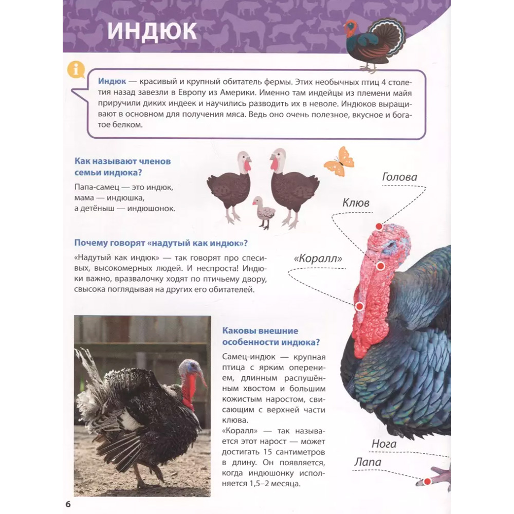 Книга 978-5-378-31898-8 ПЕРВАЯ ДЕТСКАЯ ЭНЦИКЛОПЕДИЯ. ВСЁ О ЖИВОТНЫХ ФЕРМЫ МАЛЫШАМ Книга 978-5-378-31898-8 ПЕРВАЯ ДЕТСКАЯ ЭНЦИКЛОПЕДИЯ. ВСЁ О ЖИВОТНЫХ ФЕРМЫ МАЛЫШАМ