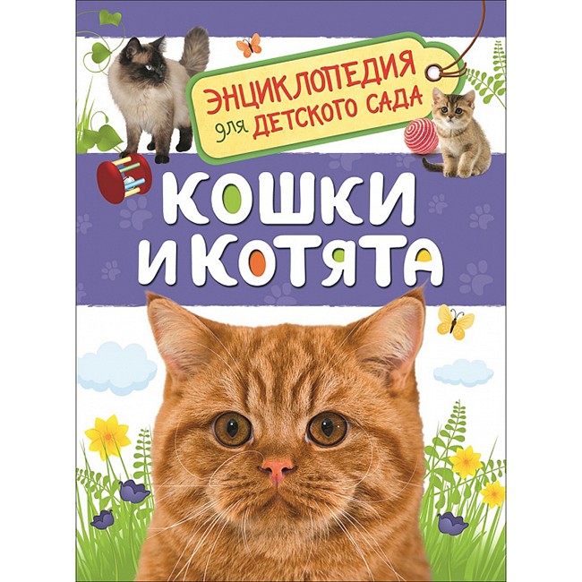 Книга 978-5-353-08776-2 Кошки и котята.Энциклопедия для детского сада. Книга 978-5-353-08776-2 Кошки и котята.Энциклопедия для детского сада.